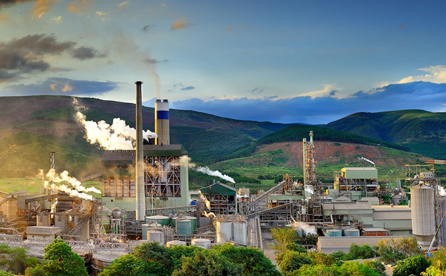 POM system at Sappi Ngodwana mill